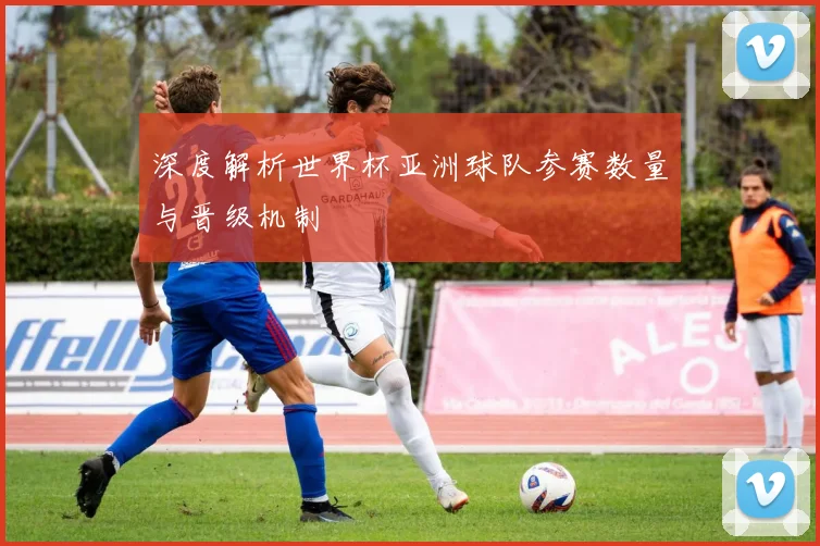 深度解析世界杯亚洲球队参赛数量与晋级机制