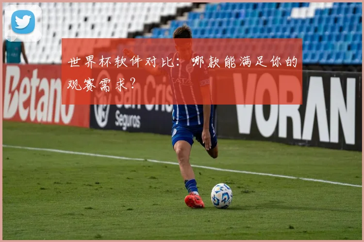 世界杯软件对比：哪款能满足你的观赛需求？