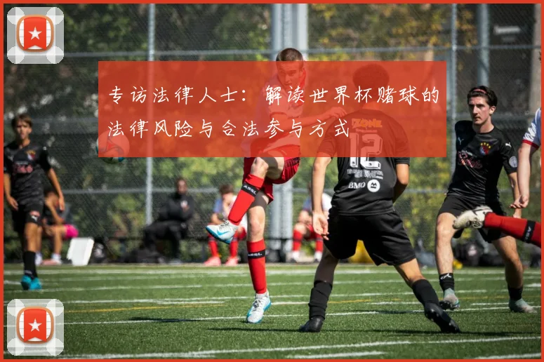 专访法律人士:解读世界杯赌球的法律风险与合法参与方式
