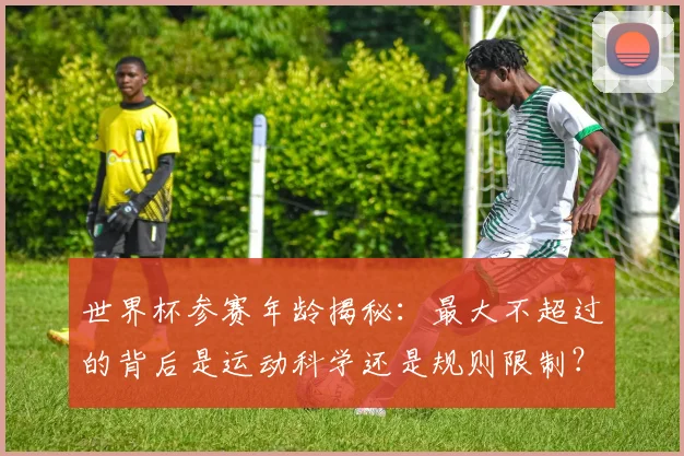 世界杯参赛年龄揭秘:最大不超过的背后是运动科学还是规则限制?