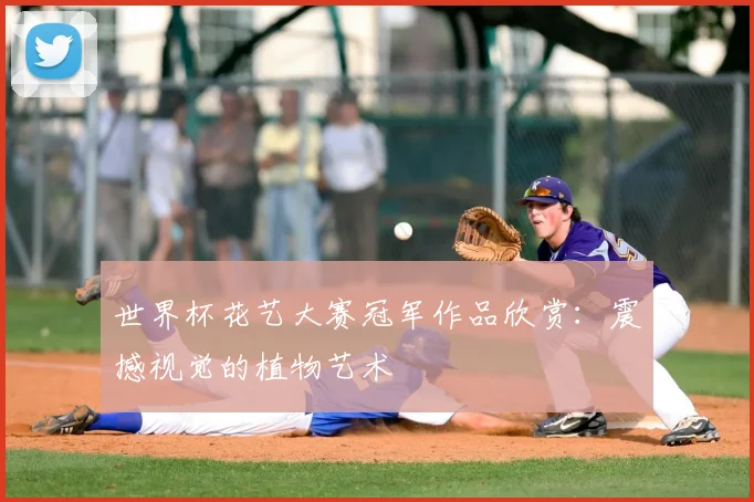 世界杯花艺大赛冠军作品欣赏:震撼视觉的植物艺术
