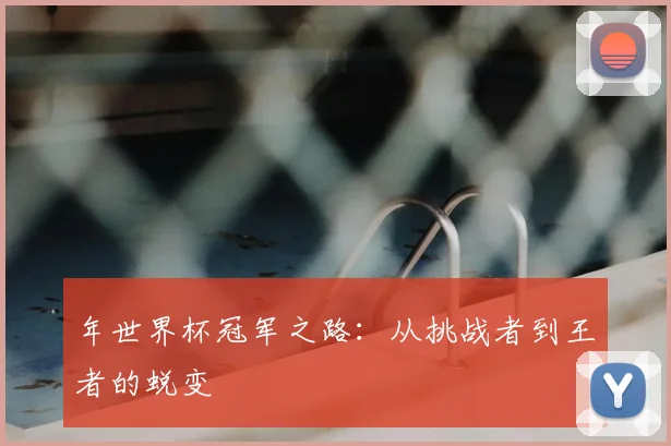 年世界杯冠军之路：从挑战者到王者的蜕变