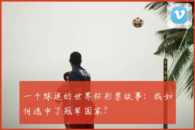 一个球迷的世界杯彩票故事:我如何选中了冠军国家?