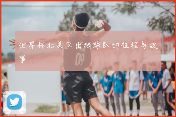 世界杯北美区出线球队的征程与故事