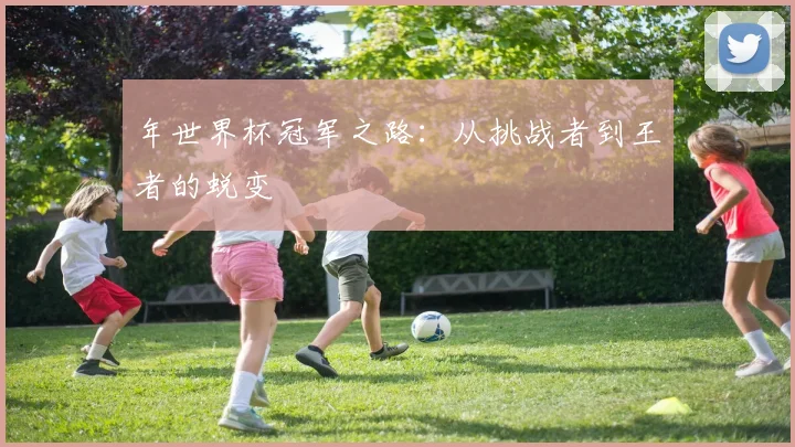 年世界杯冠军之路：从挑战者到王者的蜕变