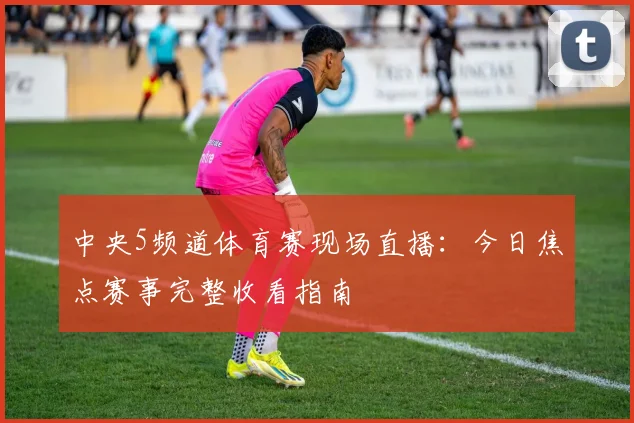 中央5频道体育赛现场直播：今日焦点赛事完整收看指南