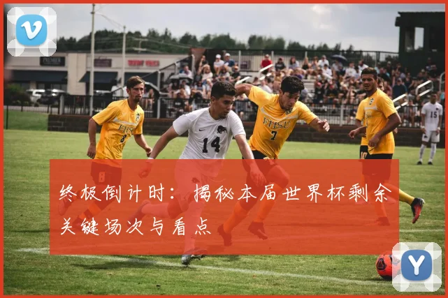 终极倒计时：揭秘本届世界杯剩余关键场次与看点