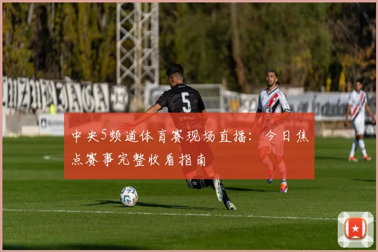 中央5频道体育赛现场直播：今日焦点赛事完整收看指南
