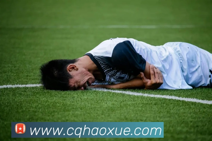 多媒体互动体验